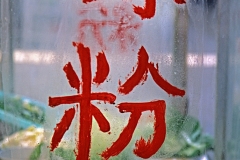 Herbert Rulf: Chinareise 2014