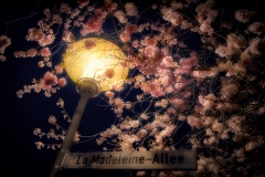 Platz 1 Monatsthema November 2021 Lampen und Laternen:  Franjo Hartmann