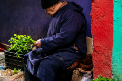 Markus Peters: Fotoreise nach Fès, Marokko