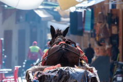 Markus Peters: Fotoreise nach Fès, Marokko
