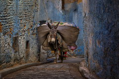 Herbert Rulf: Fotoreise nach Fès, Marokko