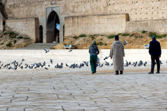 Gerry Gough: Fotoreise nach Fès, Marokko