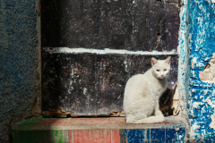 Christian Bochert: Fotoreise nach Fès, Marokko