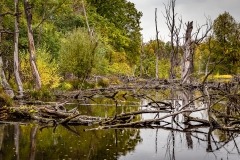 Heiner Ott Groovsche Loch