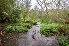 Heiner Ott Groovsche Loch