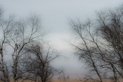 Hohes Venn
