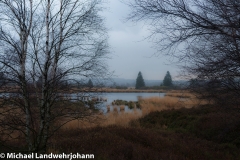 Hohes Venn