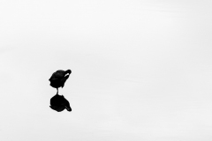 Platz 11 Monatsthema Minimalistische Fotografie: Markus Peters