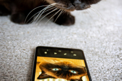 Platz 5 Monatsthema Smartphone: Reinhold Jung