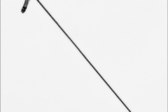 Platz 4 des Monatsthema Minimalismus: Reinhold Jung