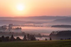 Platz 10 Monatsthema Gegenlicht: Markus Peters