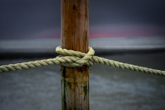 Platz 1 Monatsthema Knoten und/oder Schleifen: Franjo Hartmann. Bildtitel: Achtung Hundestrand