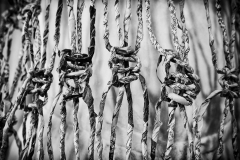 Platz 5 Monatsthema Knoten und/oder Schleifen: Vasilii Riabovol