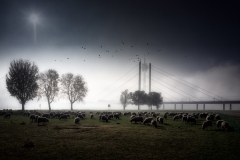 Platz 3 Monatsthema Am Ufer: Baerbel Brechtel