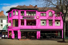 Platz 4 des Monatsthemas Pink: Franjo Hartmann