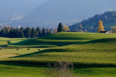 Dr. C.H. Bellinger: Vom Herbst zum Winter