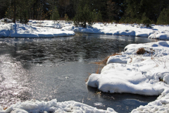 Dr. C.H. Bellinger: Vom Herbst zum Winter