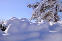 Dr. C.H. Bellinger: Vom Herbst zum Winter