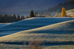Dr. C.H. Bellinger: Vom Herbst zum Winter