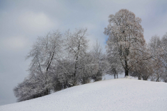 Dr. C.H. Bellinger: Vom Herbst zum Winter