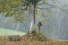 Dr. C.H. Bellinger: Vom Herbst zum Winter