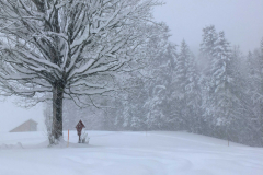 Dr. C.H. Bellinger: Vom Herbst zum Winter