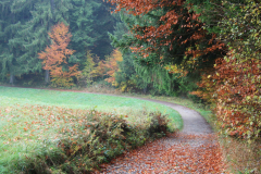 Dr. C.H. Bellinger: Vom Herbst zum Winter