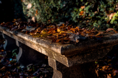 Monatsthema Herbstlaub: Platz 8 Wolfgang Rieck