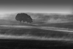Platz 12 Monatsthema Ruhe_Kontemplation: Klaus Kox
