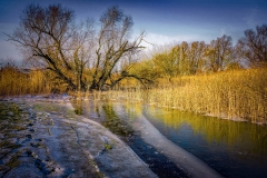 Platz 2 des Monatsthemas Farbigkeit im Winter: Franjo Hartmann