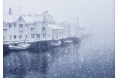 Platz 4 des Monatsthemas Farbigkeit im Winter:  Bärbel Brechtel