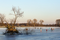 Platz 4 des Monatsthemas Farbigkeit im Winter: Herbert Rulf