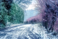 Platz 8 des Monatsthemas Farbigkeit im Winter: Gerry Gough