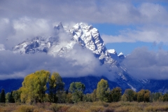 Dr.C.H. Bellinger: Rocky Mountains