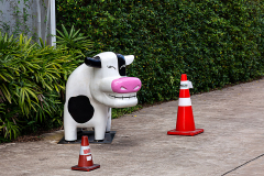 Herbert Rulf: Lustige Figuren in Thailand