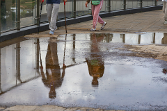 Herbert Rulf: EXPO Garden in Kunming 2024