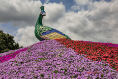 Herbert Rulf: EXPO Garden in Kunming 2024