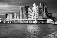 Franjo Hartmann: Kurzreise nach Amsterdam und Rotterdam