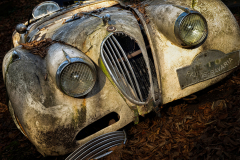 Klaus Kox: Autofriedhof Neandertal