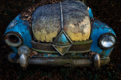 Klaus Kox: Autofriedhof Neandertal