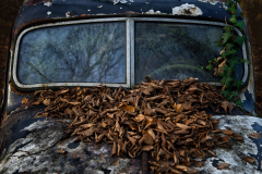 Klaus Kox: Autofriedhof Neandertal
