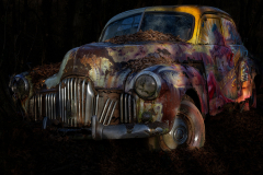 Klaus Kox: Autofriedhof Neandertal