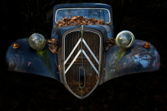 Klaus Kox: Autofriedhof Neandertal