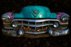 Klaus Kox: Autofriedhof Neandertal