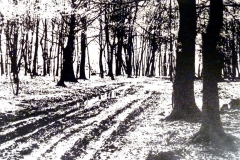 Günter Herdepe
