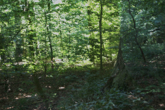 Volker Düsterloh mit dem Thema Herkunftsname: Düsterloh=Dunkle Waldlichtung.