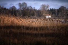 Bärbel Brechtel: Chiemgau