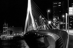 Franjo Hartmann: Erasmusbrug Rotterdam