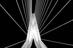 Franjo Hartmann: Erasmusbrug Rotterdam