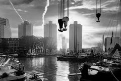 Franjo Hartmann: Erasmusbrug Rotterdam